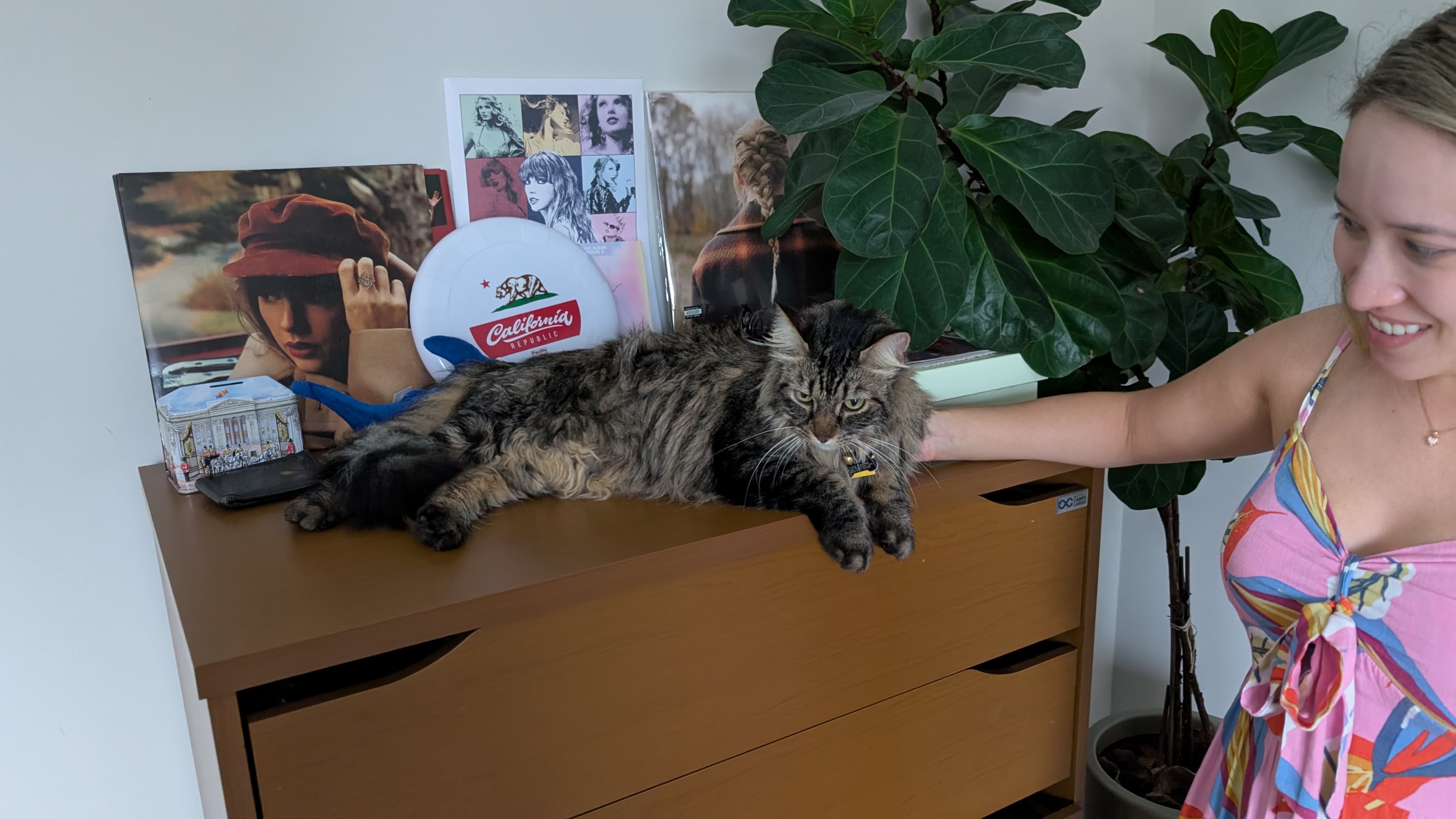 Cozy home — Cozy is now a world traveler