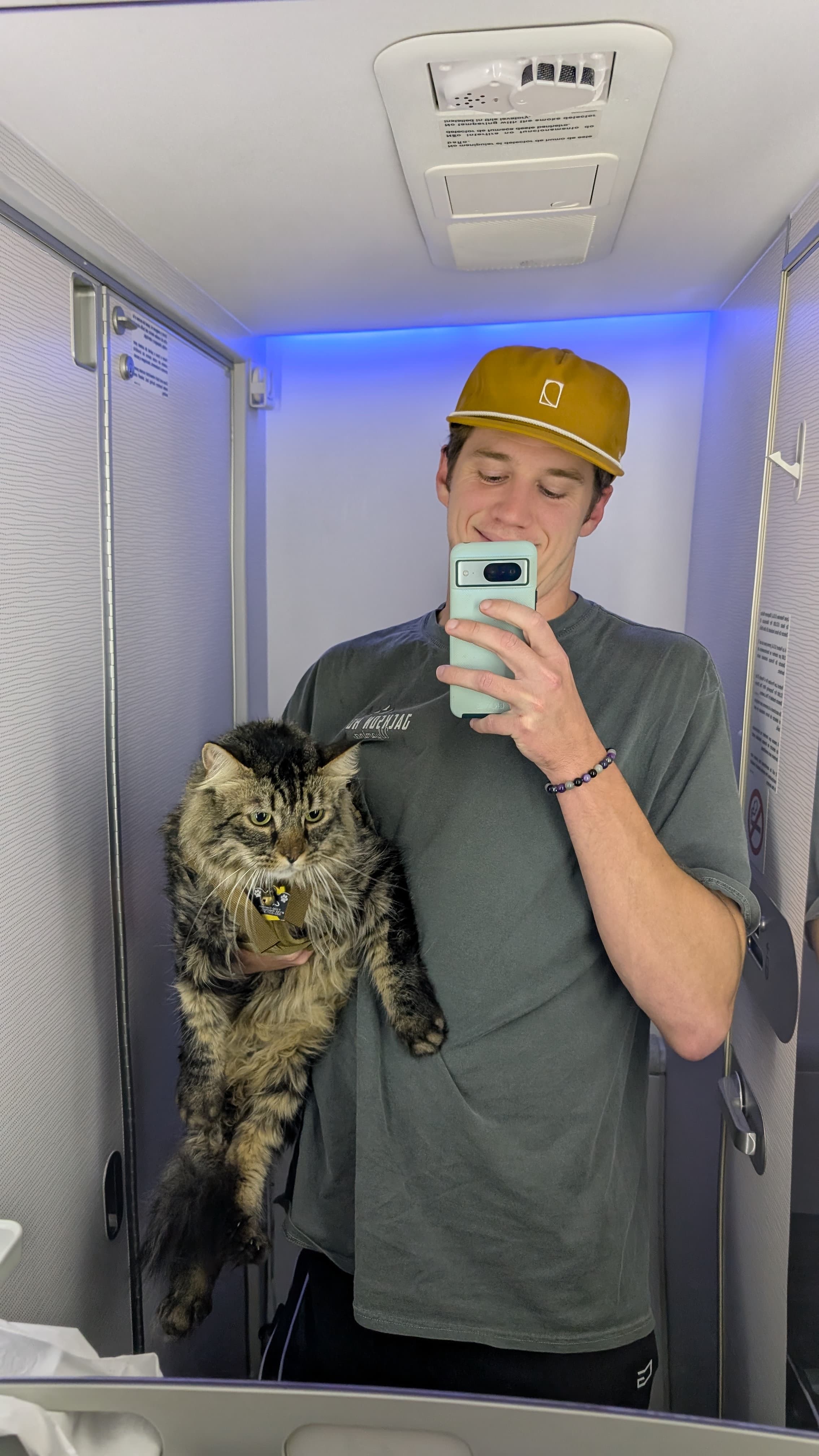 Cozy plane — Cozy is now a world traveler